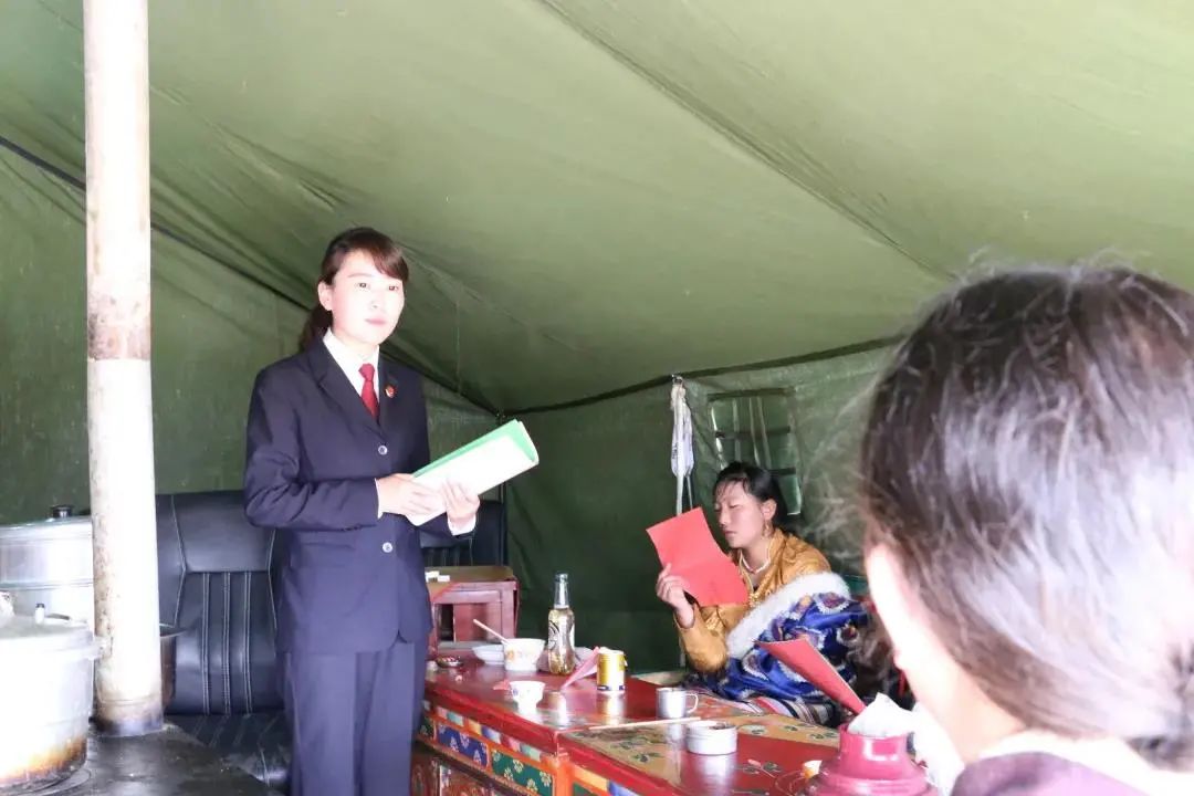 藏羚羊尸体处理结果,藏羚羊的尸骨