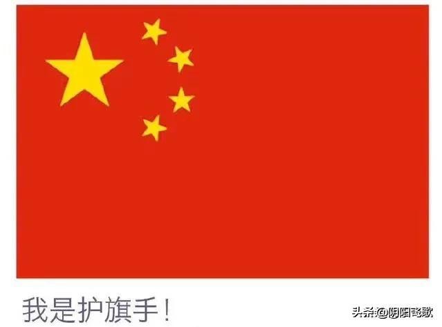 我是国旗护卫者视频,我是国旗护旗手