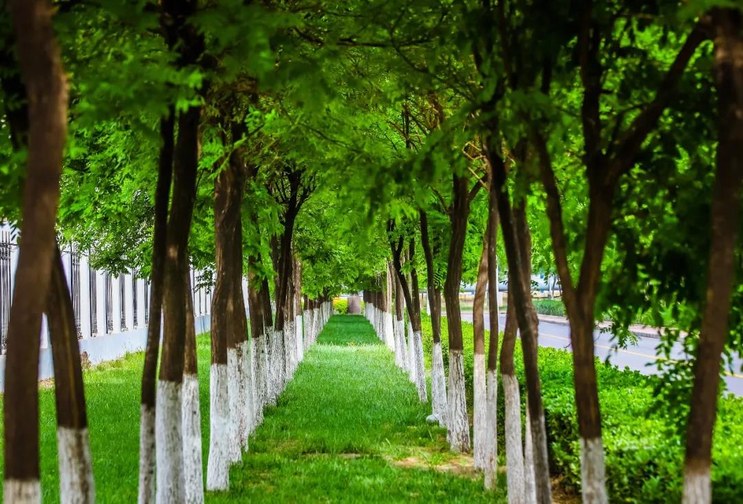 天津津南区荣程钢铁,天津荣程钢铁环境