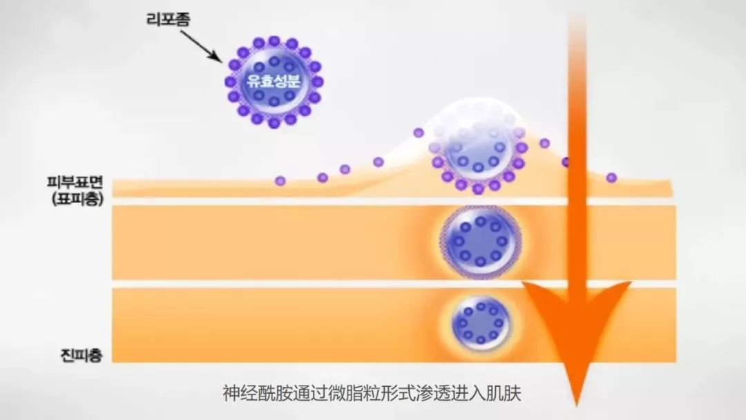 关晓彤有没有黑眼圈,关晓彤黑眼圈困扰