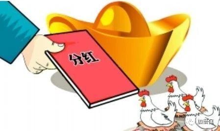 支付宝上的全民保养老金怎么取消,支付宝上面的全民保养老金靠谱吗