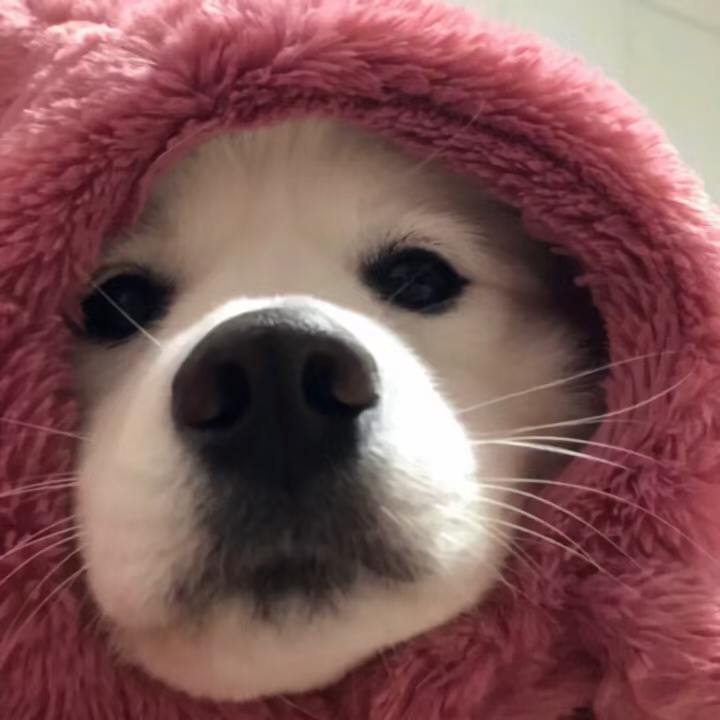 销售真的能赚大钱吗,销售是不是挣钱最快的