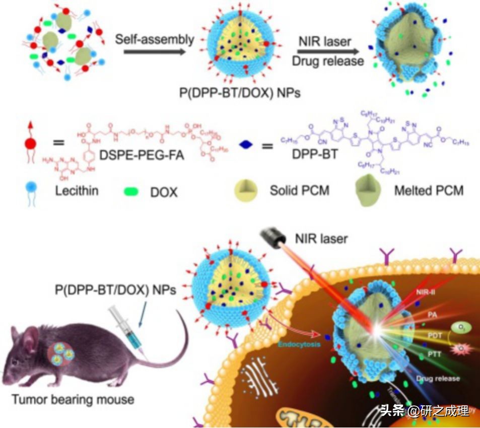 荧光探针肿瘤光动力治疗,荧光内窥镜治疗肿瘤