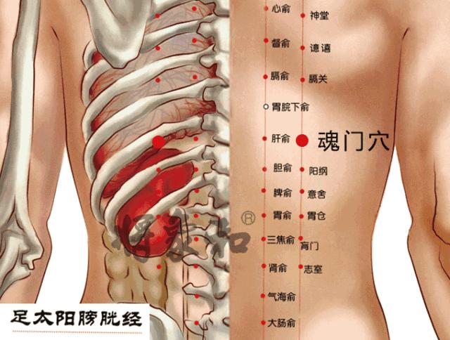人体期门穴准确的位置,人体郄门穴位置