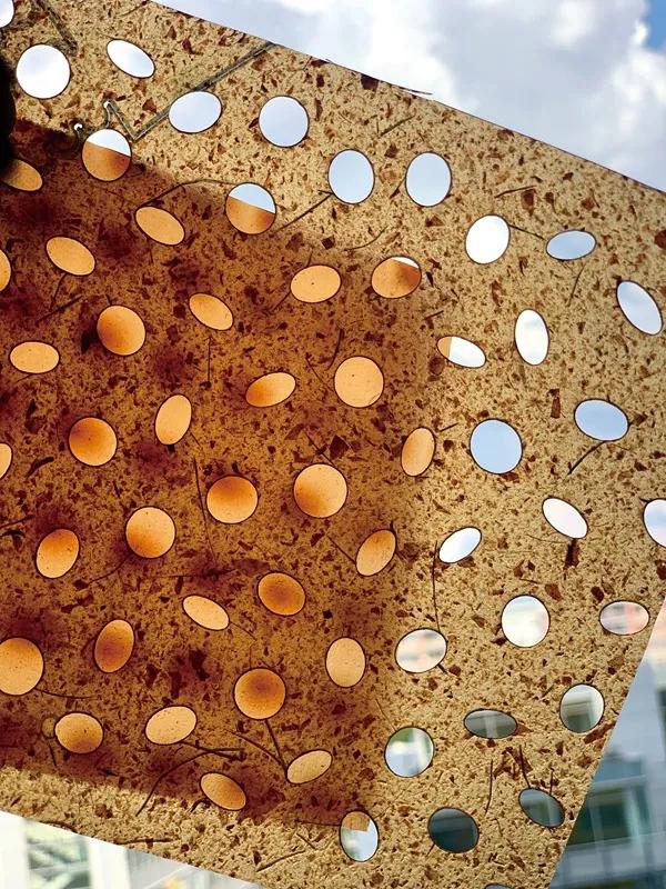 食物设计案例,健康饮食的设计意图