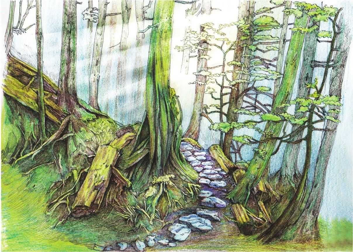 彩铅入门基础教程风景画,彩铅风景画教程简单入门