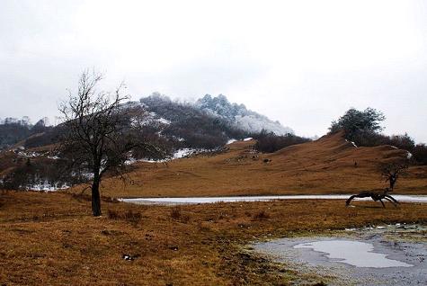 游玩玉龙雪山攻略,最好的玉龙雪山自驾游