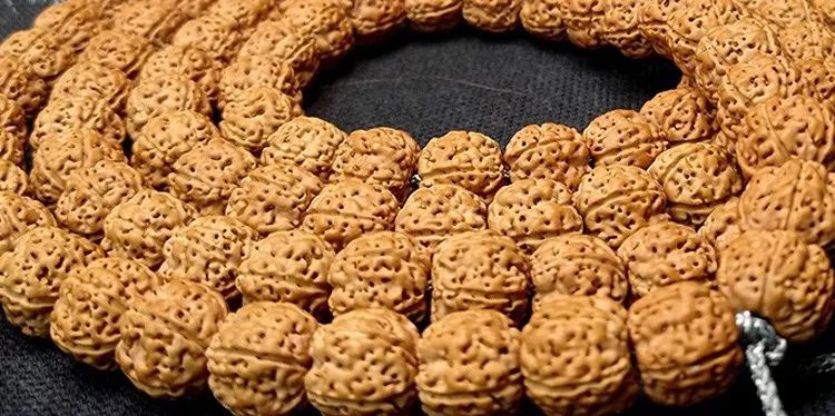 小金刚菩提梅花纹路什么价位,小金刚菩提什么纹路的最好