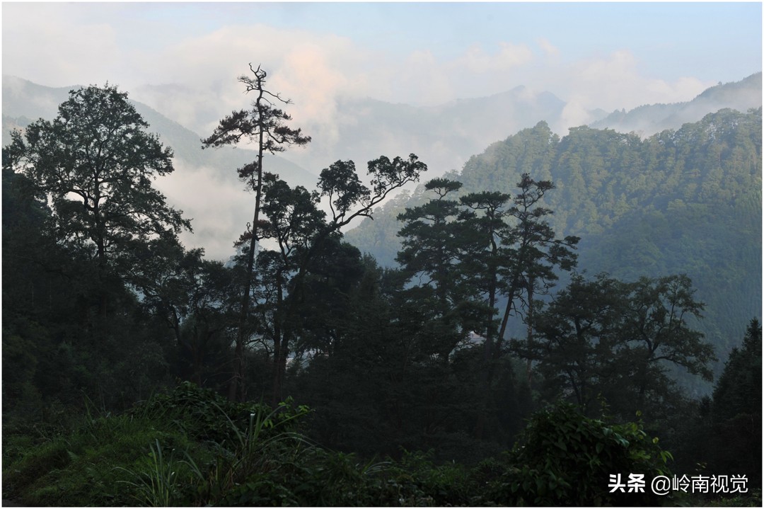 走进大山探访,探访深山医院