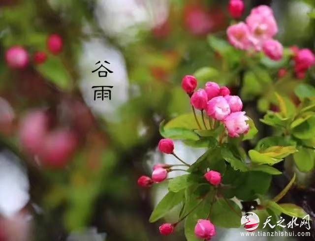 杨迎勋图片大全,杨迎勋和胡树轩照片