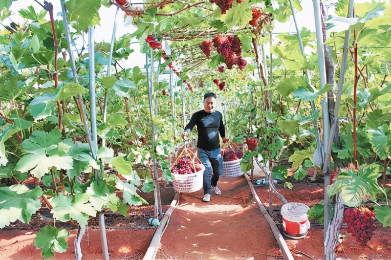 鍥涘窛鍑夊北鐢靛晢鑴辫传,鐢靛晢鐩存挱鍔╁姏灞辫揣杩涘煄