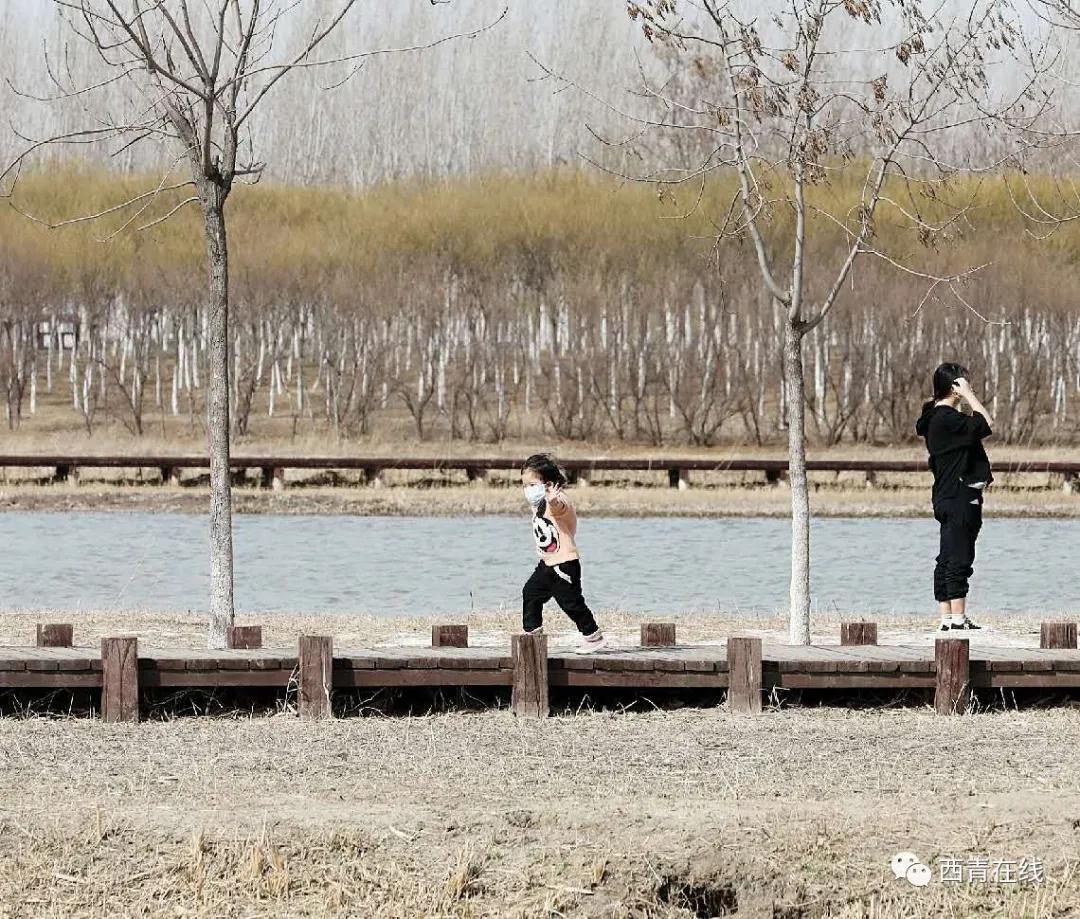 天津东疆亲海公园2022年开放吗,天津2022哪些公园恢复开放