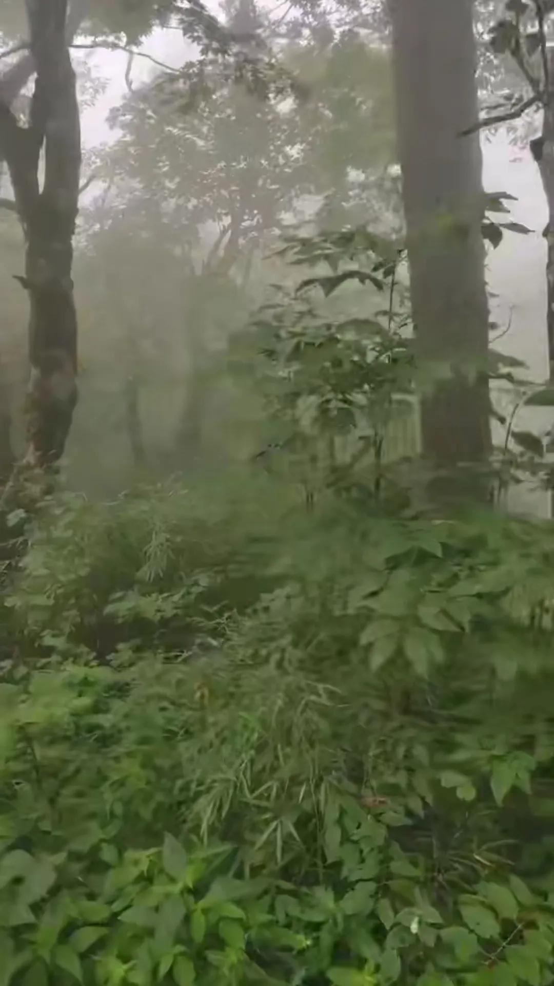 灵性和暗物质的区别,灵性感知是什么