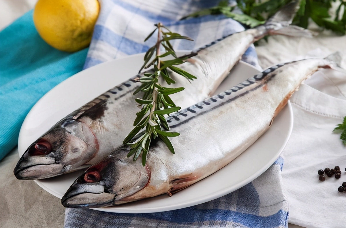 世界上最美味的10种鱼