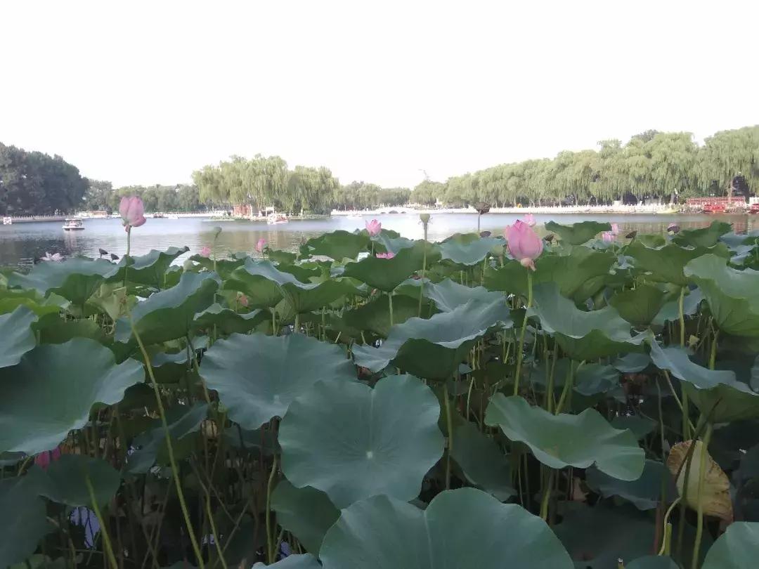 部编版三年级语文课后练习题答案,部编版三年级语文上册课后题答案