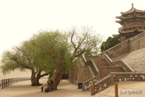 鸣沙山月牙泉堆满了游客,鸣沙山月牙泉景区