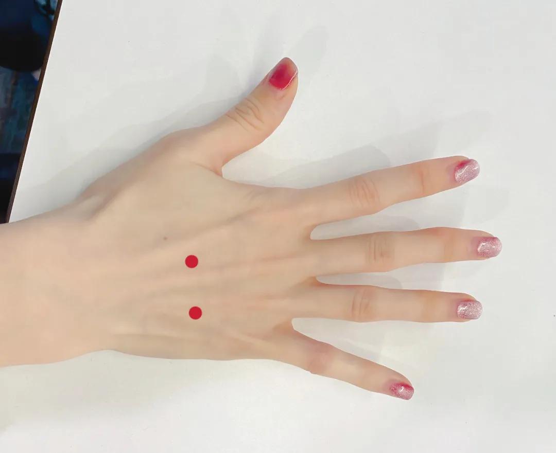 腰痛病中医辨证论治详细描述,肝肾不足腰痛中医辨证