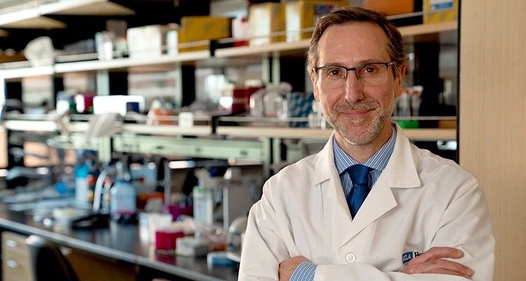 化疗联合pd-1免疫治疗,肿瘤免疫与代谢疗法