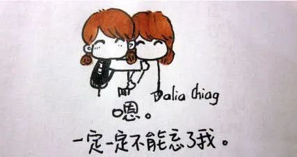 友谊长存：银柳里的深情