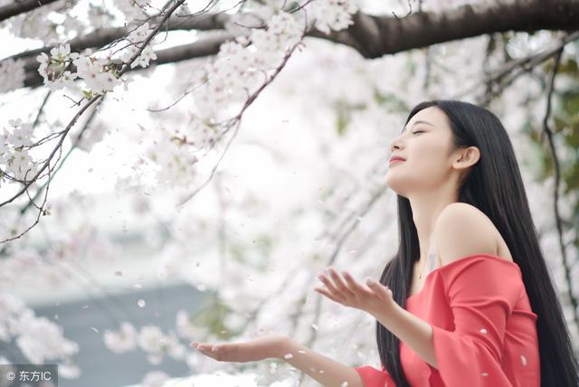 小说：总裁终于哄好她，她又生气了，他觉得比商业对手还难揣摩