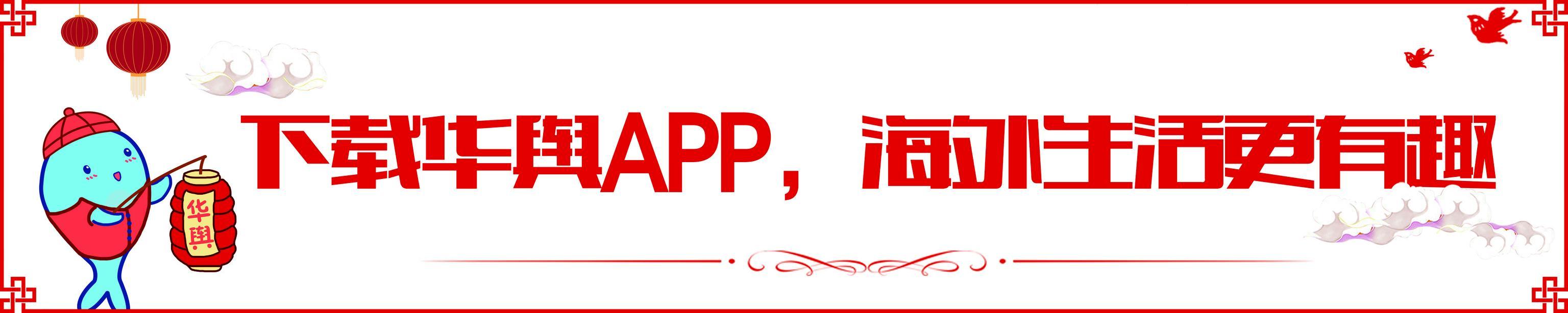 代购被海关查处,国内代购违法案例
