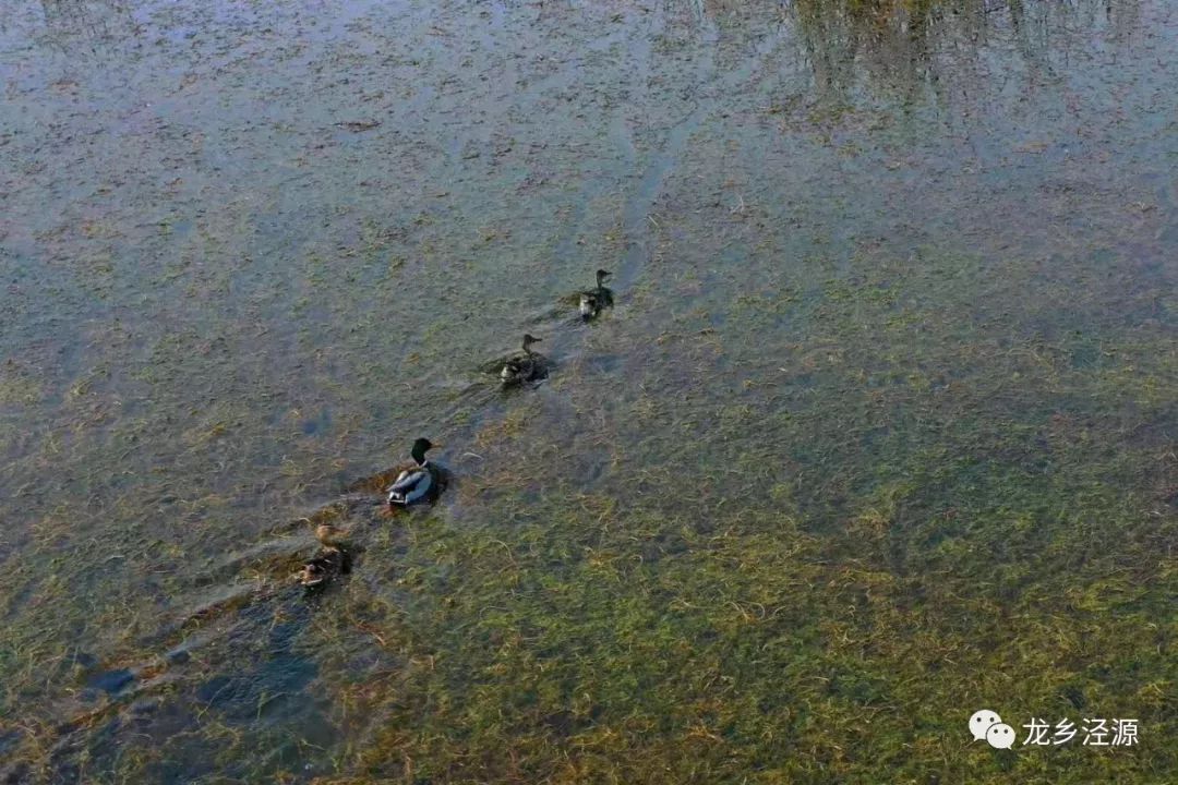 泾源秋天美景图片,泾源最美景色
