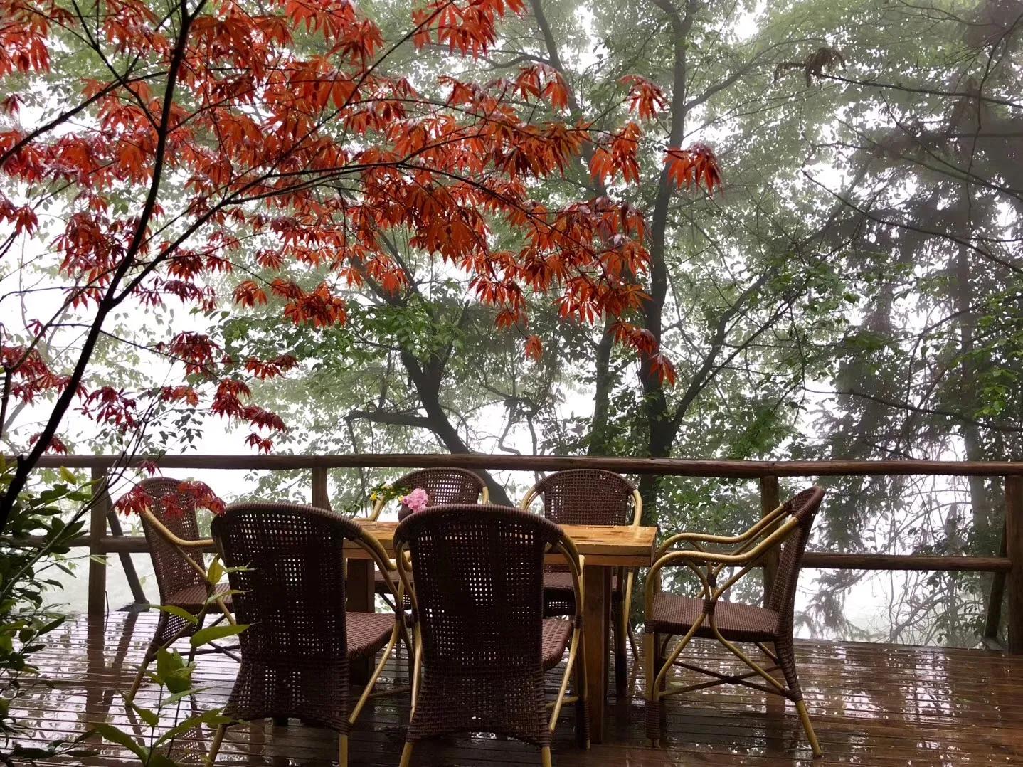 铜梁巴岳山森林木屋,巴岳山树屋