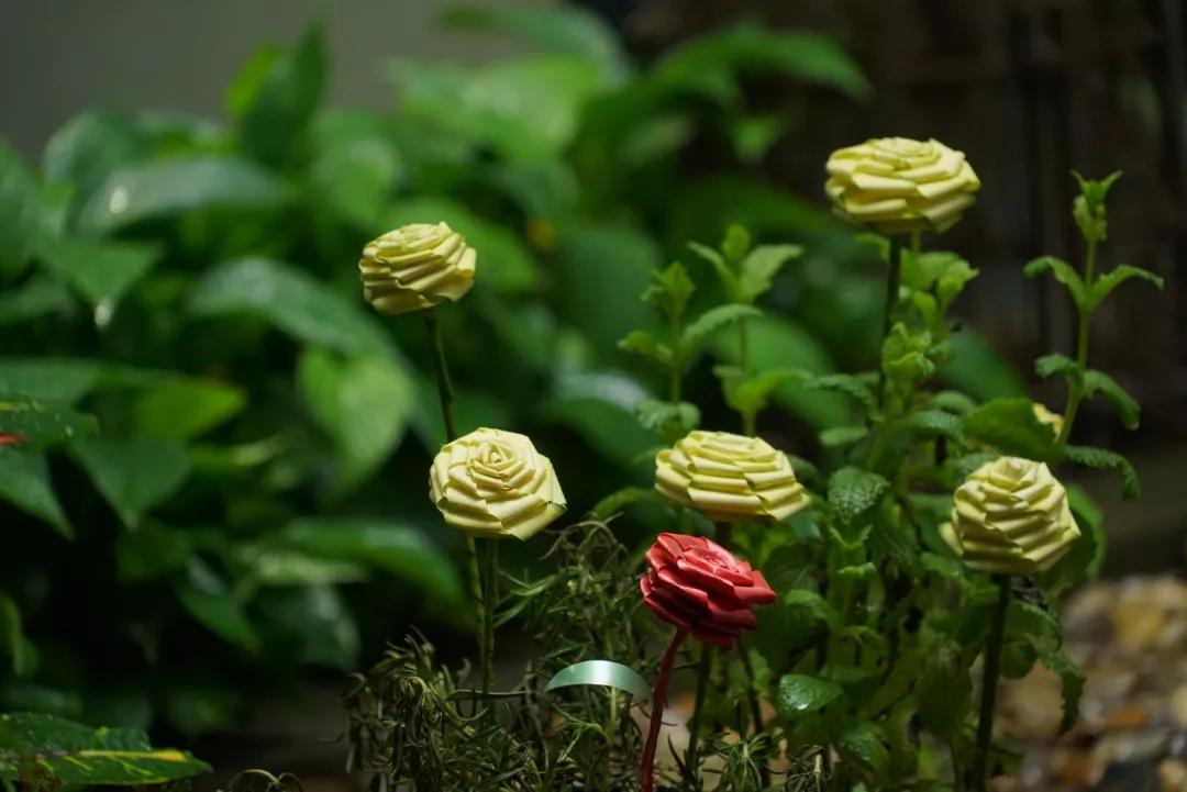 用叶子编玫瑰花图片,不用剪刀做教师节玫瑰花手工制作