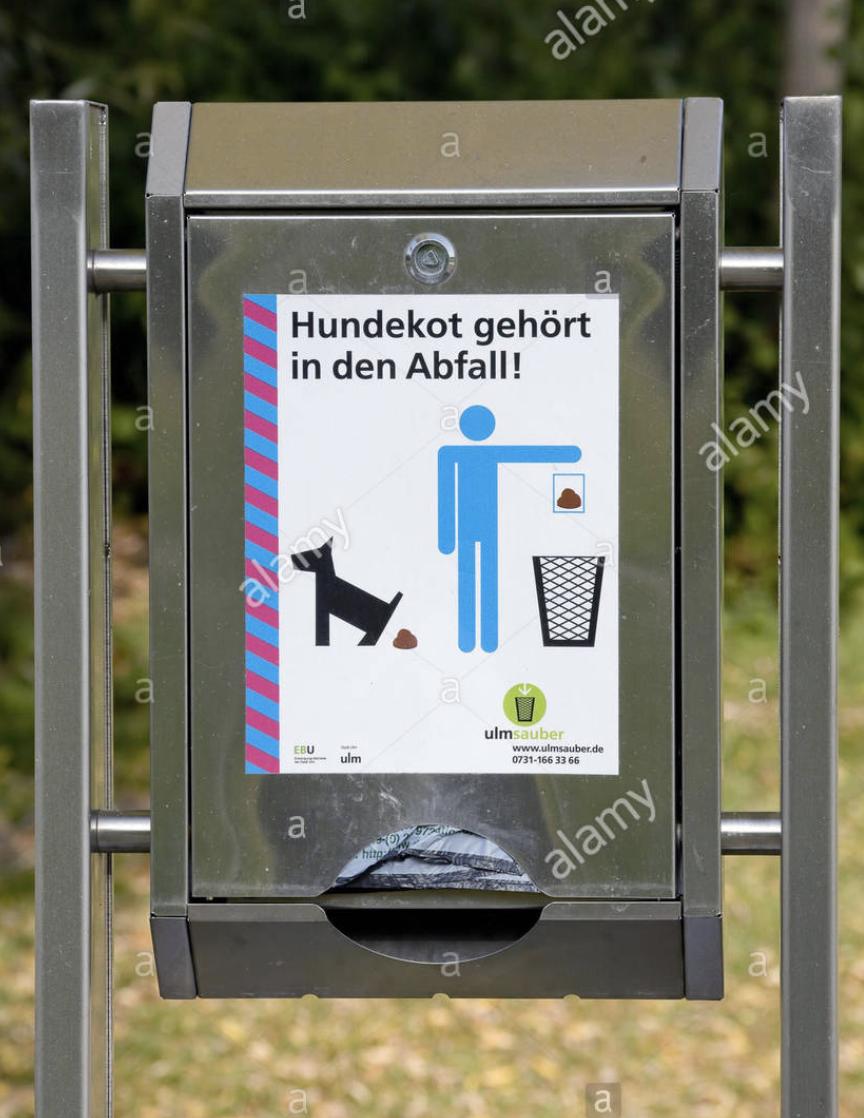 德国狗狗的地位有多高,狗在德国的地位