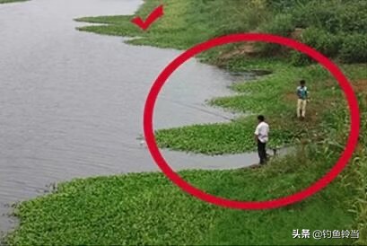 野钓水库调漂技巧及线组搭配,野库钓鱼怎样调漂