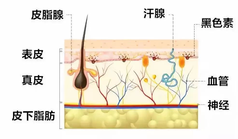 m痛痛的直不起腰？这么好的产品不能我自己一个人用！