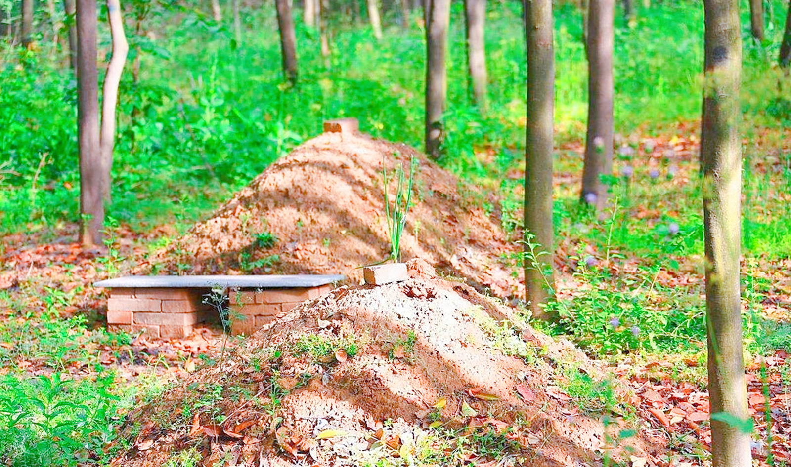 日本“公寓墓地”，价格不高交通便利，值得国内墓地厂商借鉴