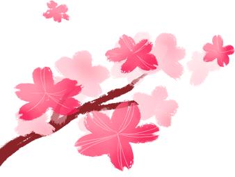 珀芙研728霜是可以修复屏障吗,敏感肌适合珀莱雅还是欧莱雅