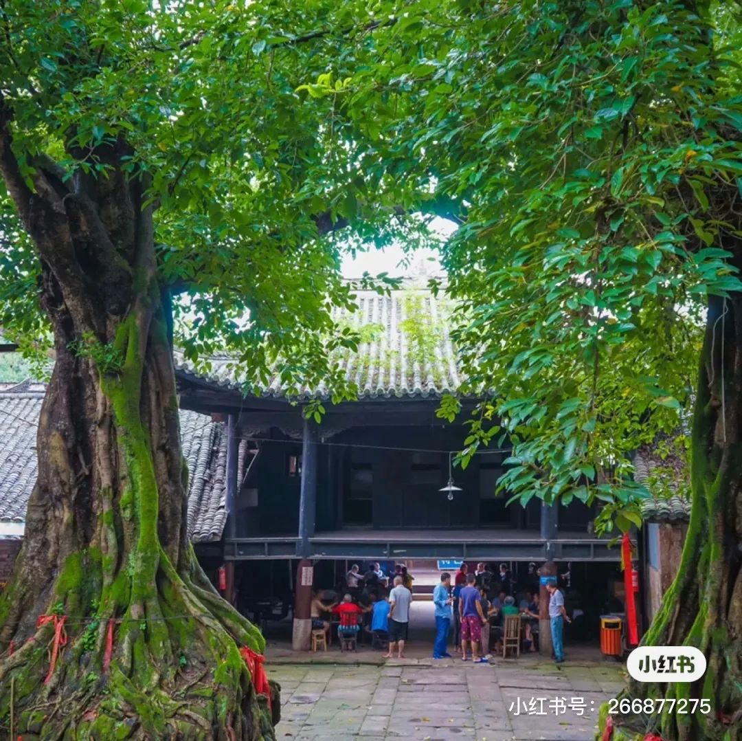 四川最值得去冷门的旅游景点,四川冷门小众又好玩的地方排名