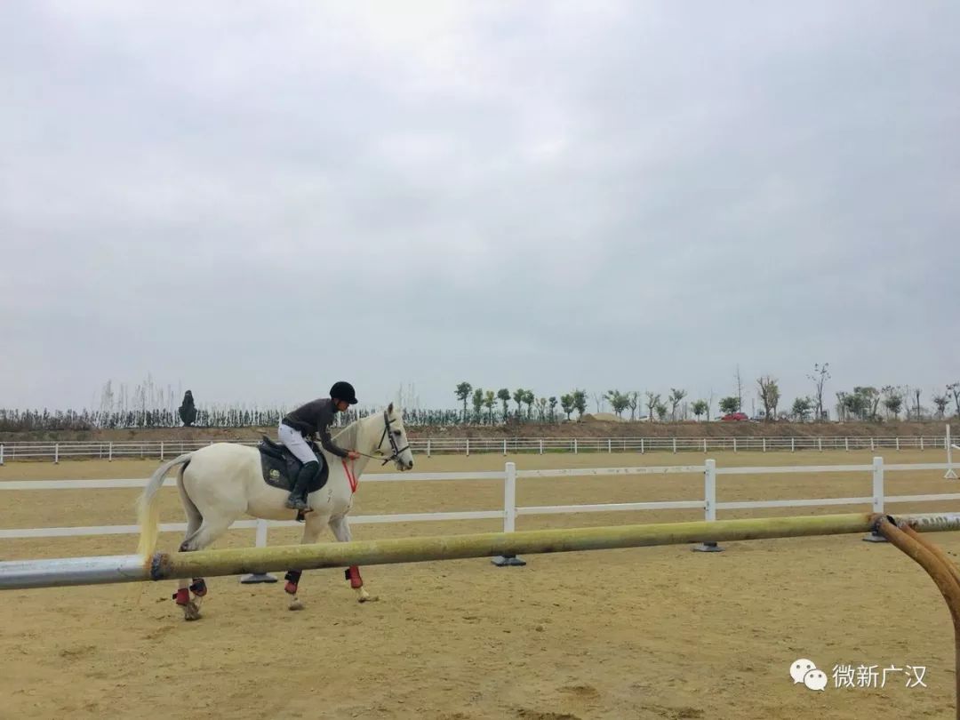 游记|来和兴吧!这里的美景美食每一样都超skr~