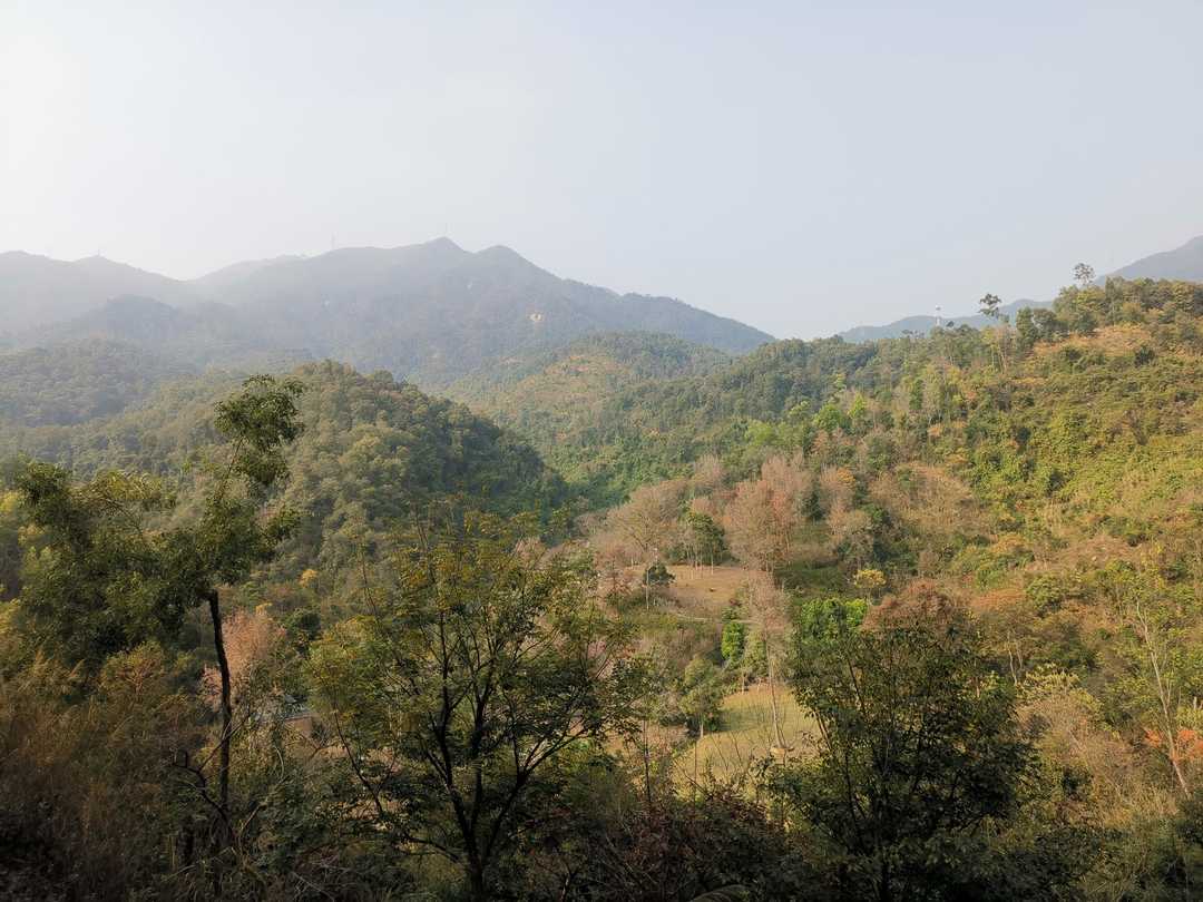 厦门市天竺山一日游,厦门天竺山攻略