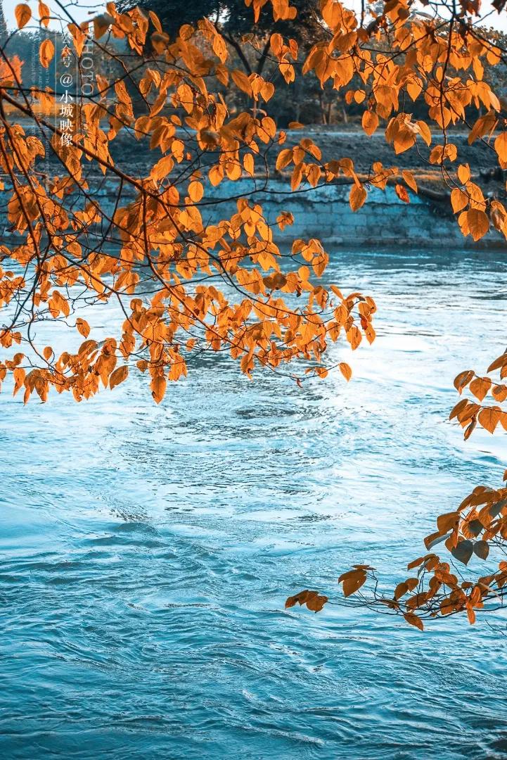 郫县是怎么发展起来的,郫县区为什么这么出名