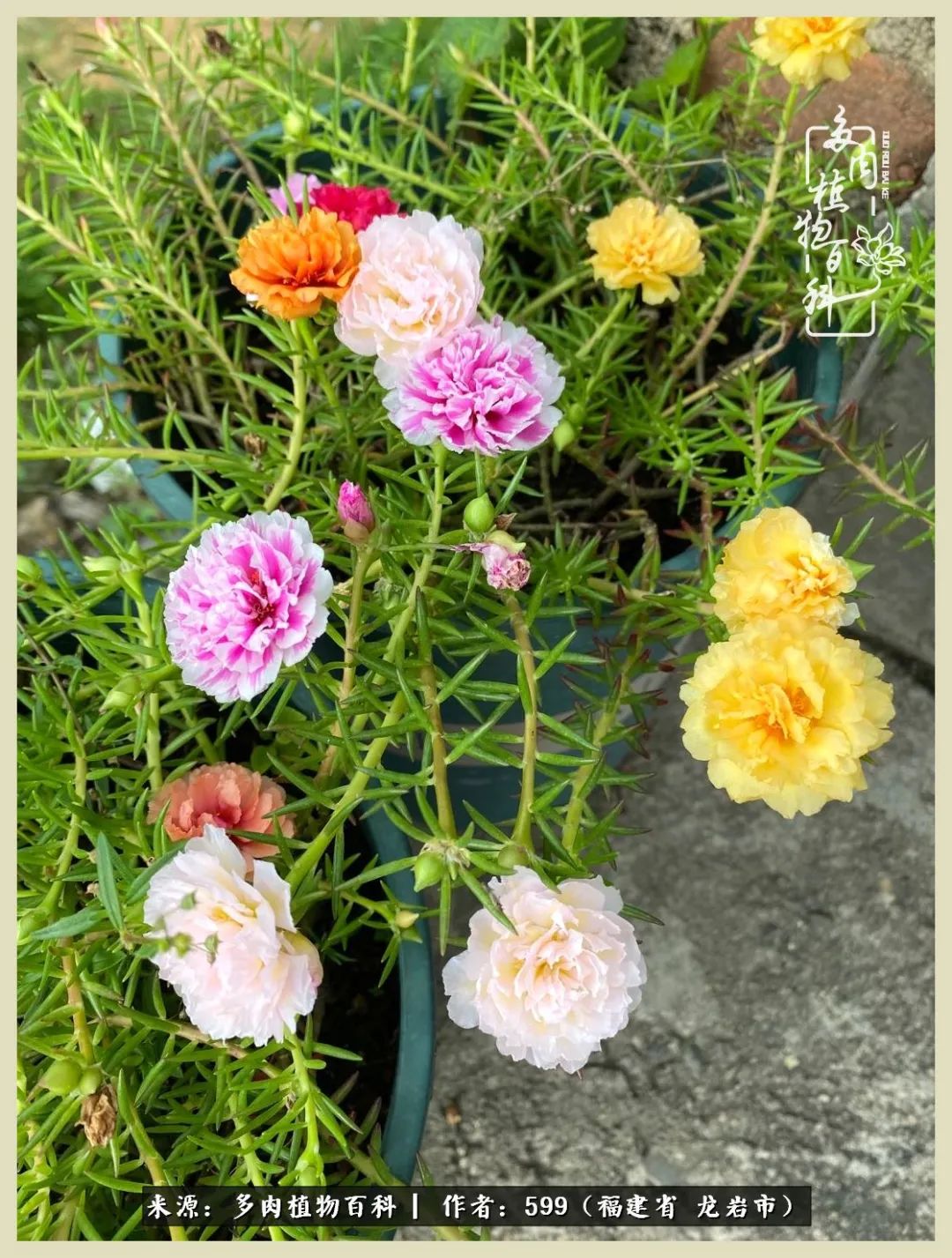 所有的热爱都不遗余力,所有的忙碌都是因为热爱