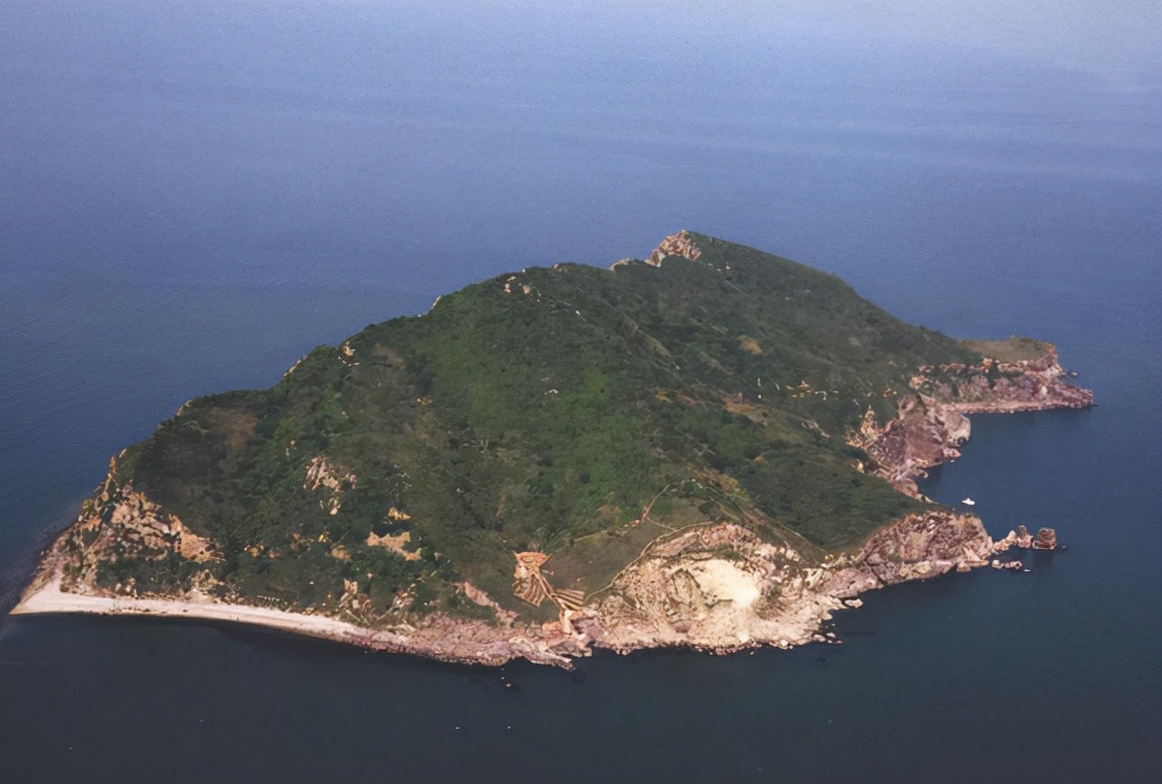 蜜獾大战眼镜蛇名副其实的蛇克星,大连岛上上万条毒蛇放两只蜜獾