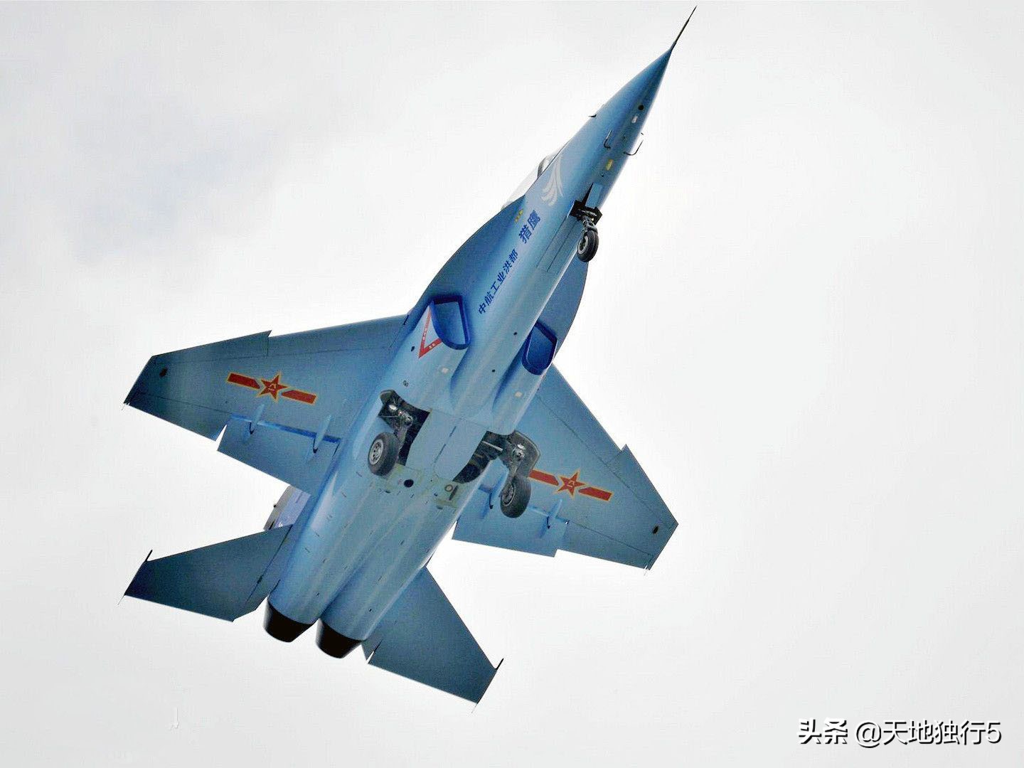 伦敦上空的猎鹰,空中的猎鹰