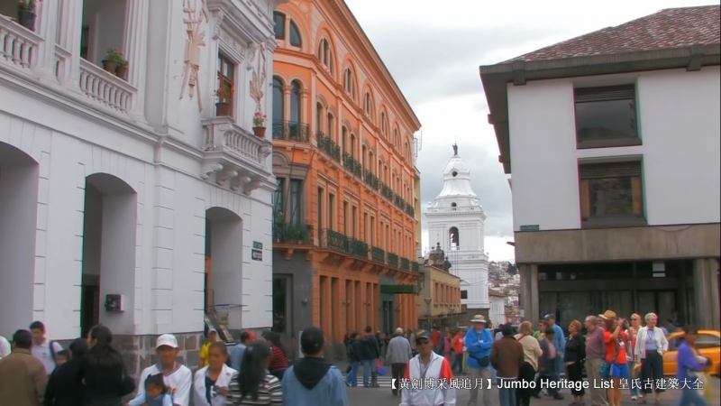 世界上最长寿的象龟多少岁,迄今发现最长寿的龟