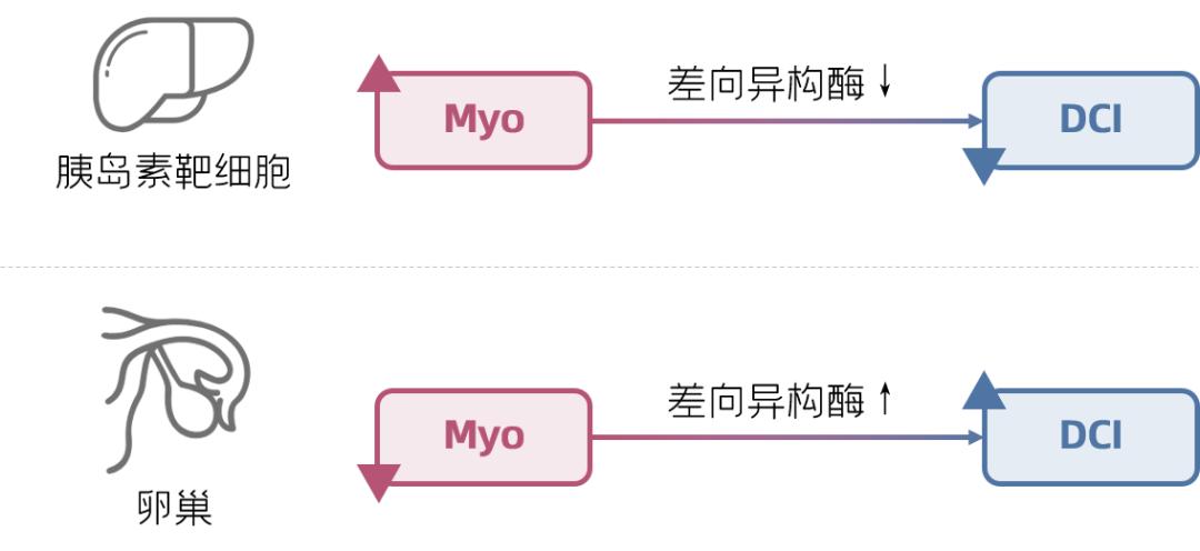 肌醇对胰岛素抵抗有用吗,没有胰岛素抵抗可以吃肌醇吗