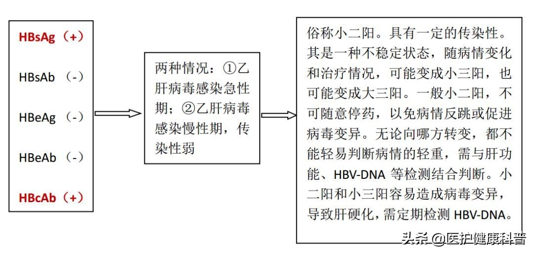 我有乙肝，想谈恋爱、结婚、生小孩……不可以吗？