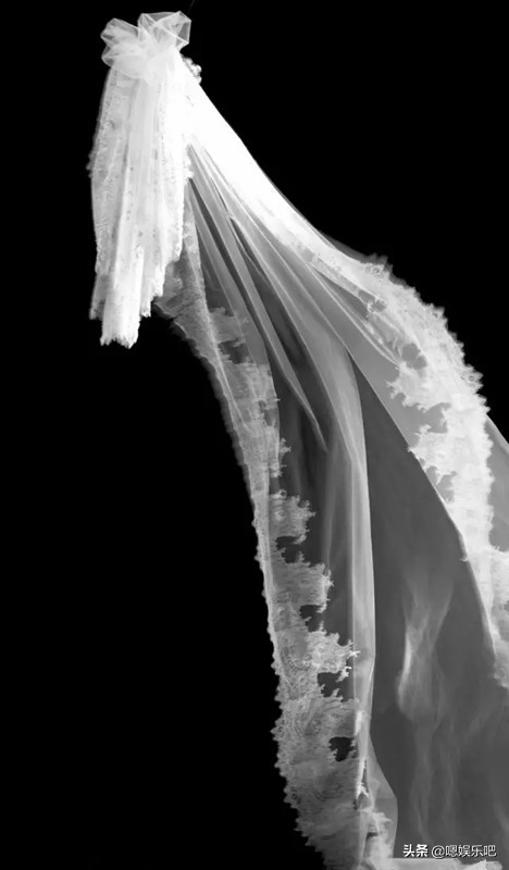 谢娜礼服女人味,谢娜穿旗袍惊艳