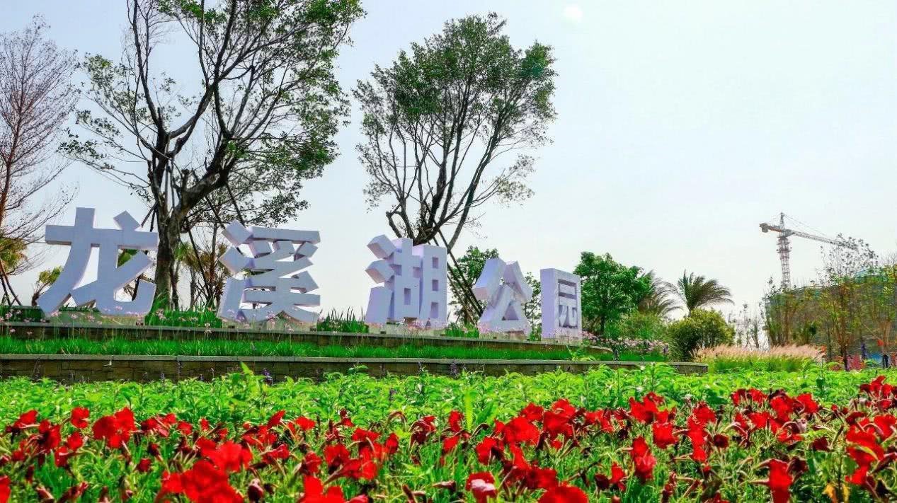 江门这个城市在大家的印象中,江门真是一个好神奇的城市