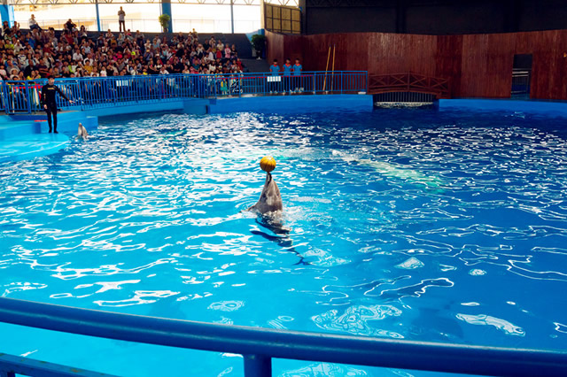 昆明有哪些景点值得去游玩呢,昆明有哪些旅游景点比较好玩的