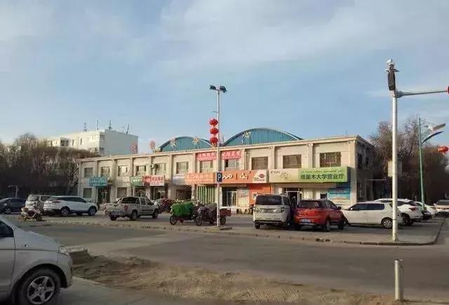 塔里木大学新疆的沙漠学府,塔里木大学周围的沙漠