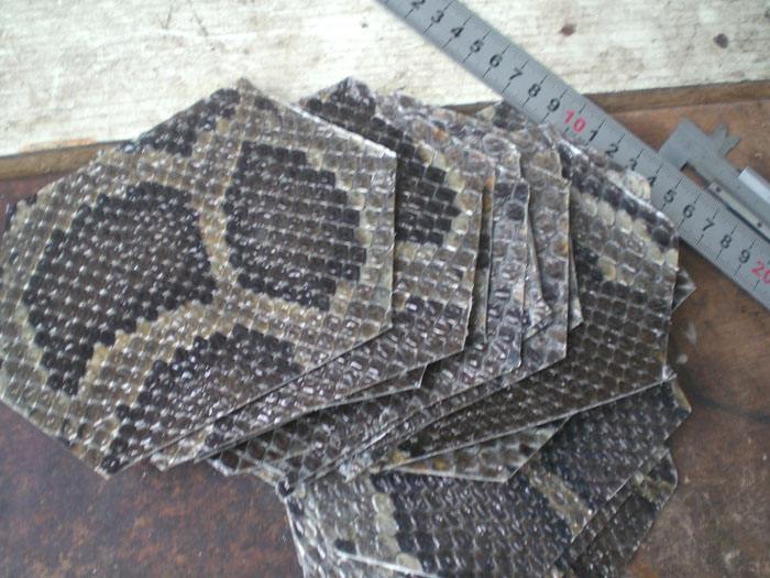 初学二胡基本功怎样练,初学者二胡必备基础知识