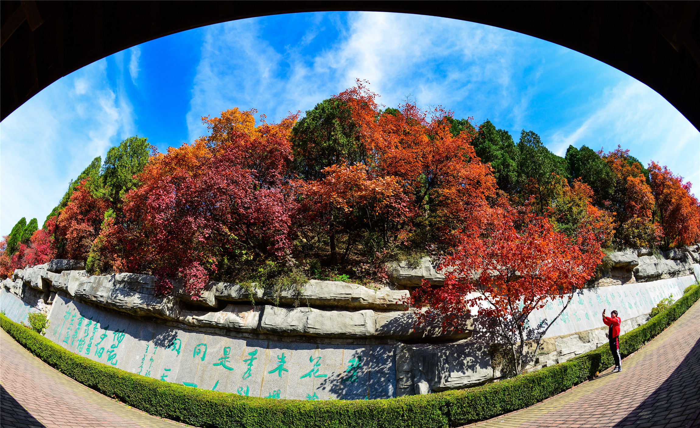济南红叶谷赏红叶的最佳时间,济南红叶谷今年最佳观赏红叶时间