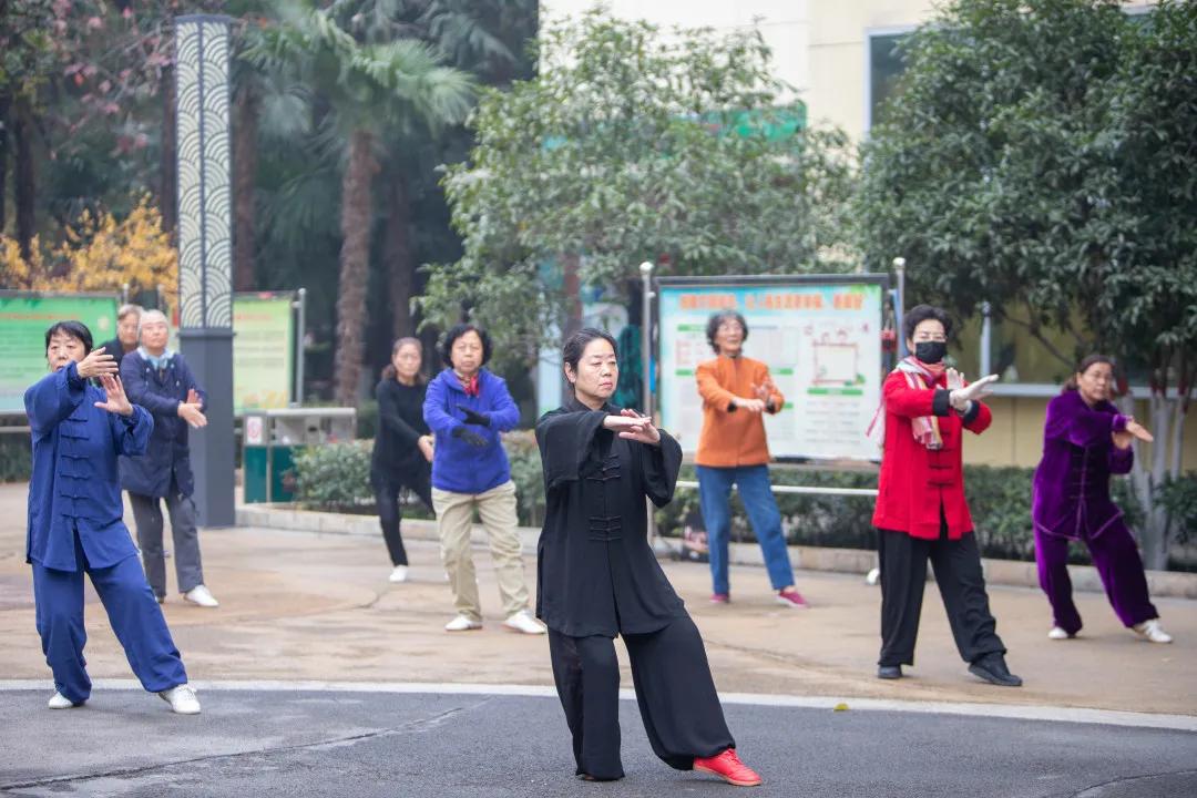 莲湖区晚上哪里可以散步,莲湖晨练